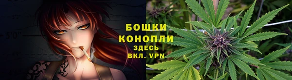 прущая мука Богородицк