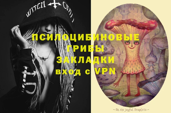 марки nbome Богданович