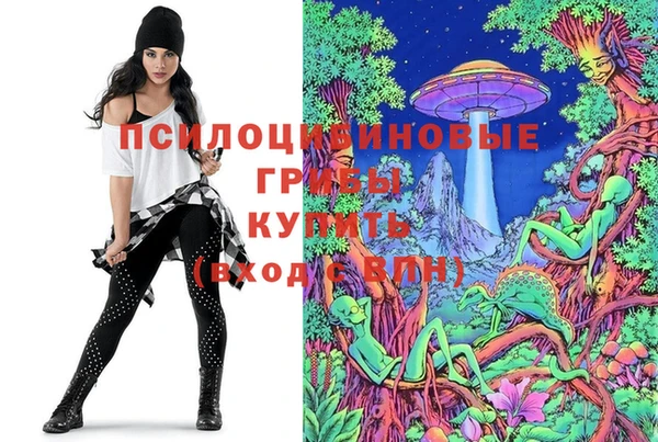 герыч Бородино