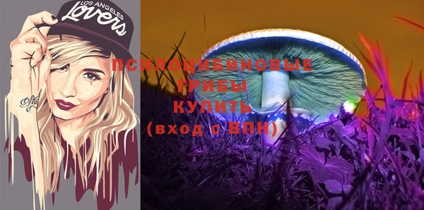 марки nbome Богданович