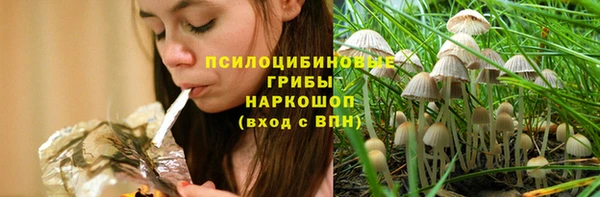 прущая мука Богородицк