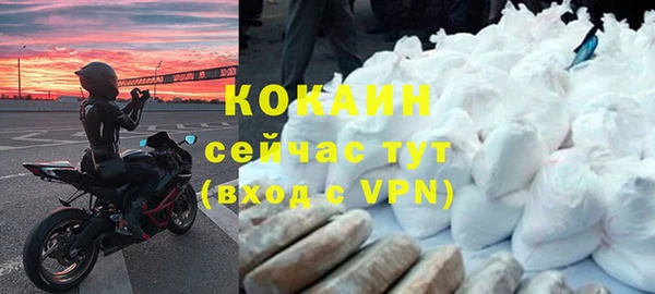 прущая мука Богородицк